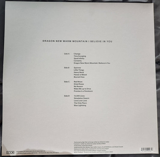 Big Thief : Dragon New Warm Mountain I Believe In You (2xLP, Album)