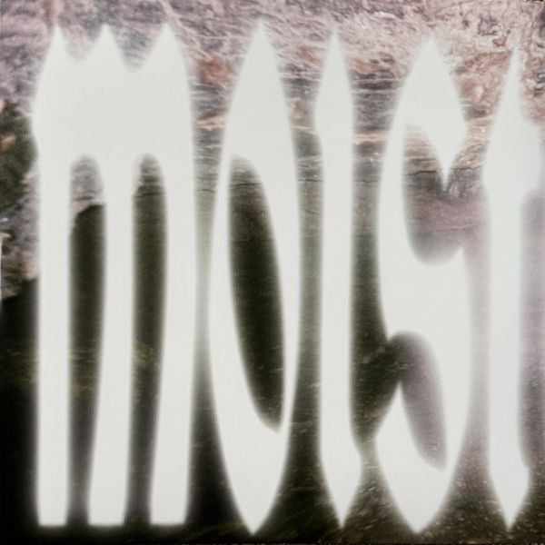 Wetleg* : Moisturizer (LP, Album, Ltd, Cle)