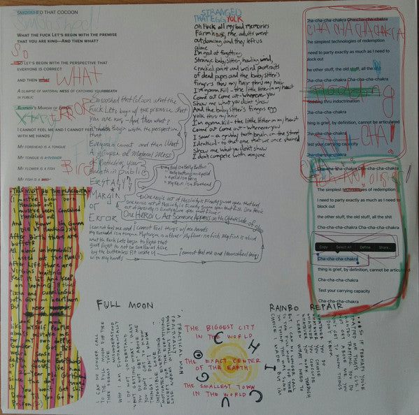 Joan Of Arc : He's Got The Whole This Land Is Your Land In His Hands (LP, Album, pin)