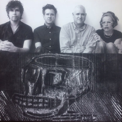 Superchunk : What A Time To Be Alive (LP, Album)