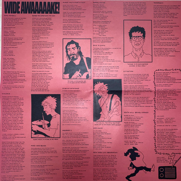 Parquet Courts : Wide Awake! (LP, Album)