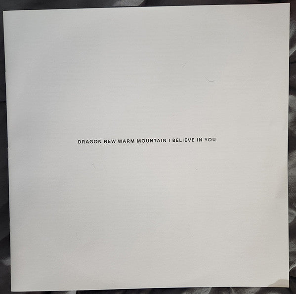 Big Thief : Dragon New Warm Mountain I Believe In You (2xLP, Album)