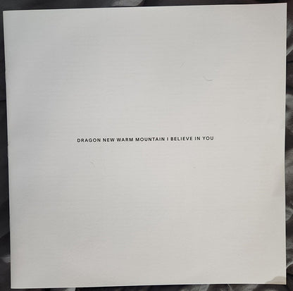Big Thief : Dragon New Warm Mountain I Believe In You (2xLP, Album)