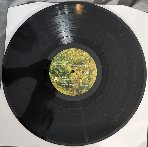 Big Thief : Dragon New Warm Mountain I Believe In You (2xLP, Album)