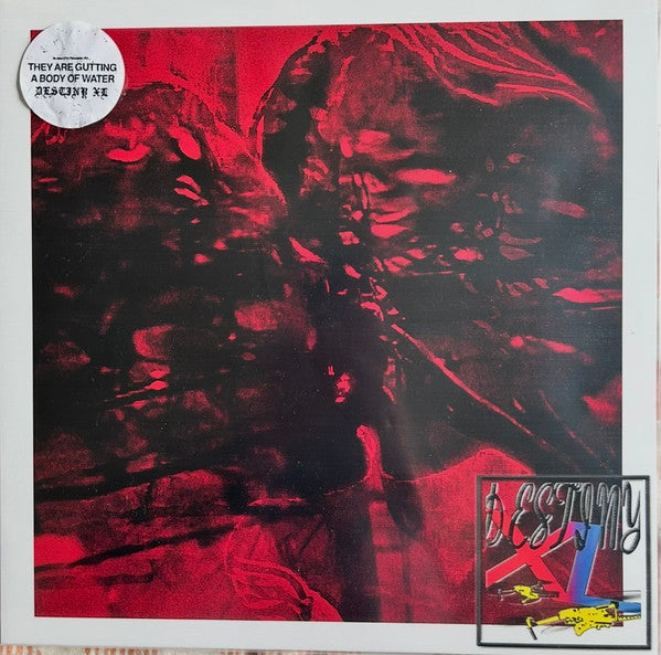 they are gutting a body of water : Destiny XL (LP, Album, RP)