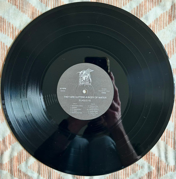 they are gutting a body of water : Destiny XL (LP, Album, RP)